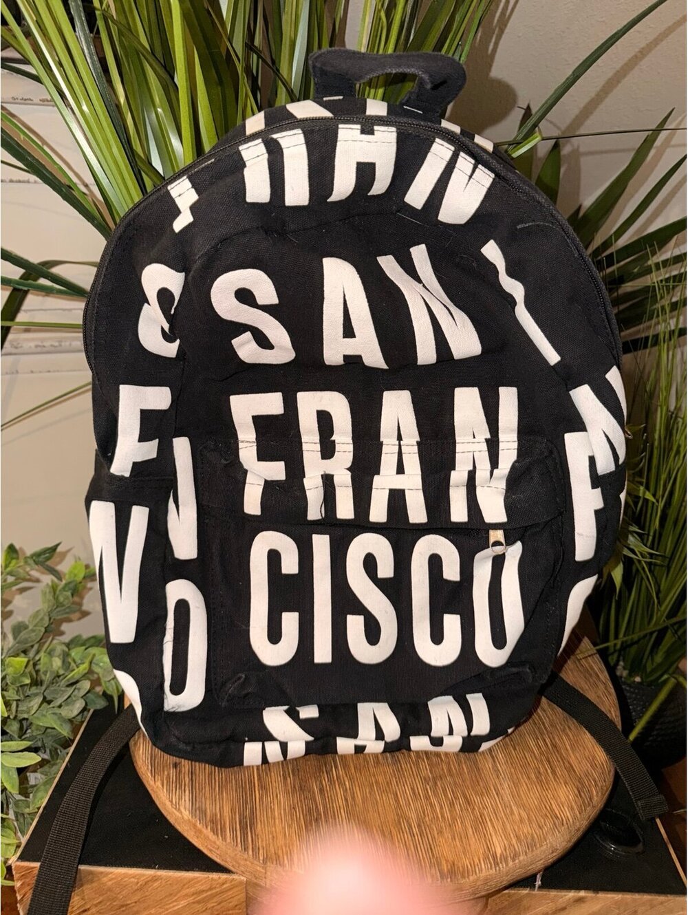 San Francisco backpack